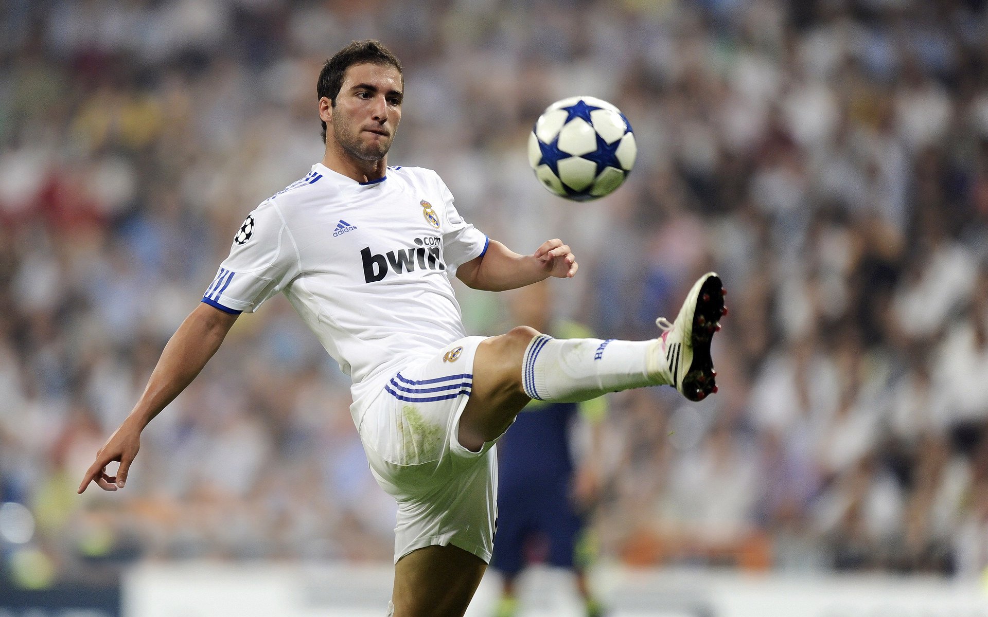 爱游戏电竞-“马丁·高尔西的战术创新，助阿根廷美洲狮队稳步提升竞争力”